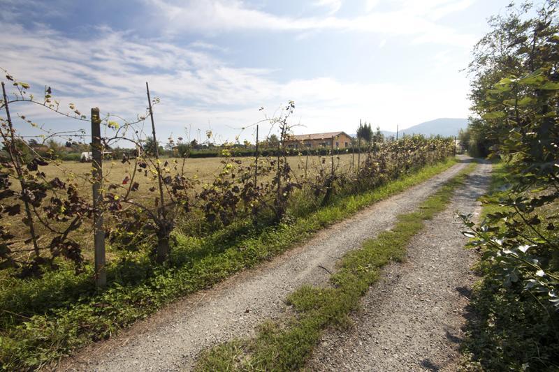 L'Ortobio Villa Sarzana Buitenkant foto